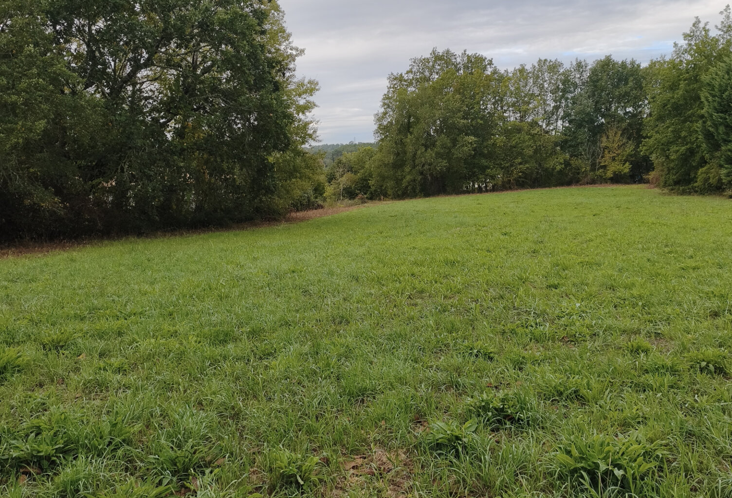 Terrain — photo 1