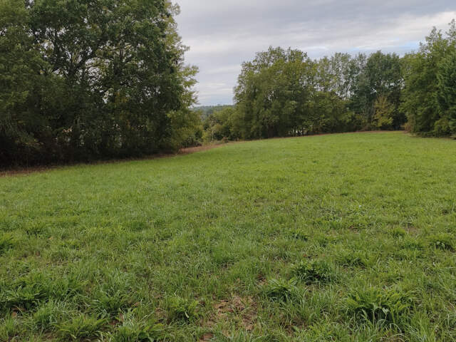 Terrain — photo du bien