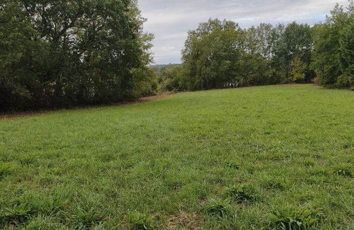 Terrain — photo 2