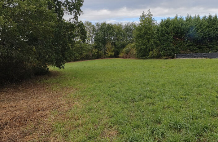 Terrain — photo 3