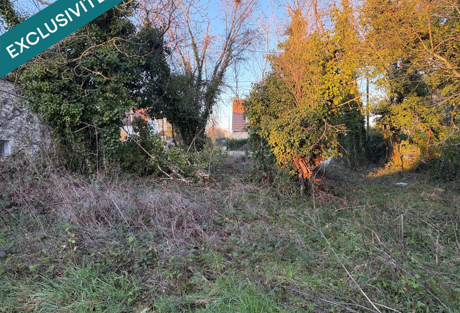 TERRAIN CONSTRUCTIBLE et BOIS TAILLIS — photo 1