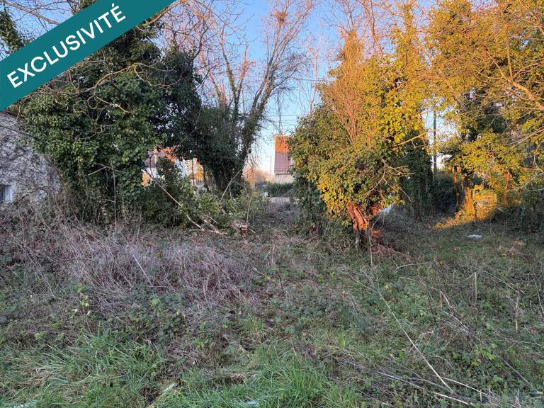 TERRAIN CONSTRUCTIBLE et BOIS TAILLIS — photo 1