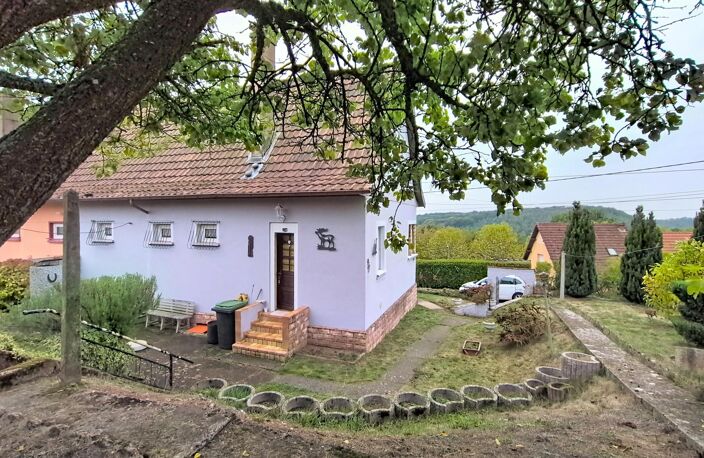 Maison avec joli jardin, garage et dépendance, située au calme à Hombourg-Haut. — photo 2