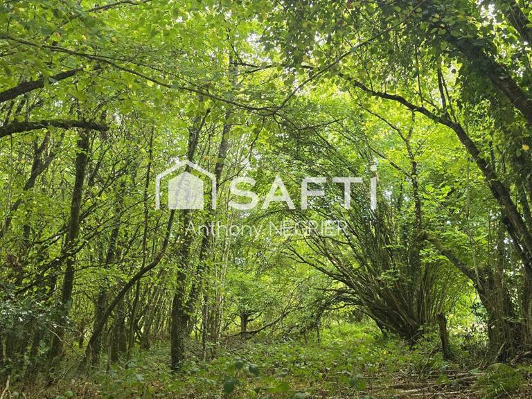 Terrain — photo 1