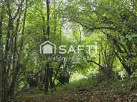 Terrain — photo 4