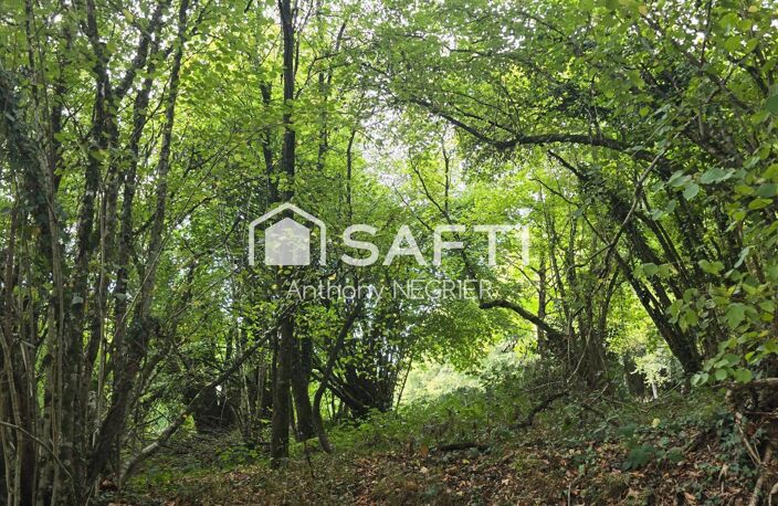 Terrain — photo 4