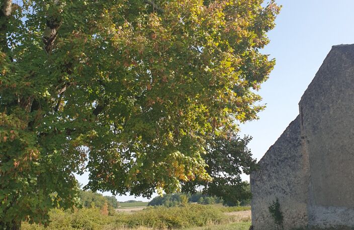 Vente Grange 8 pièces — photo 5
