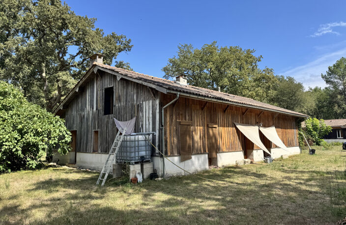 Maison landaise sur airial — photo 2
