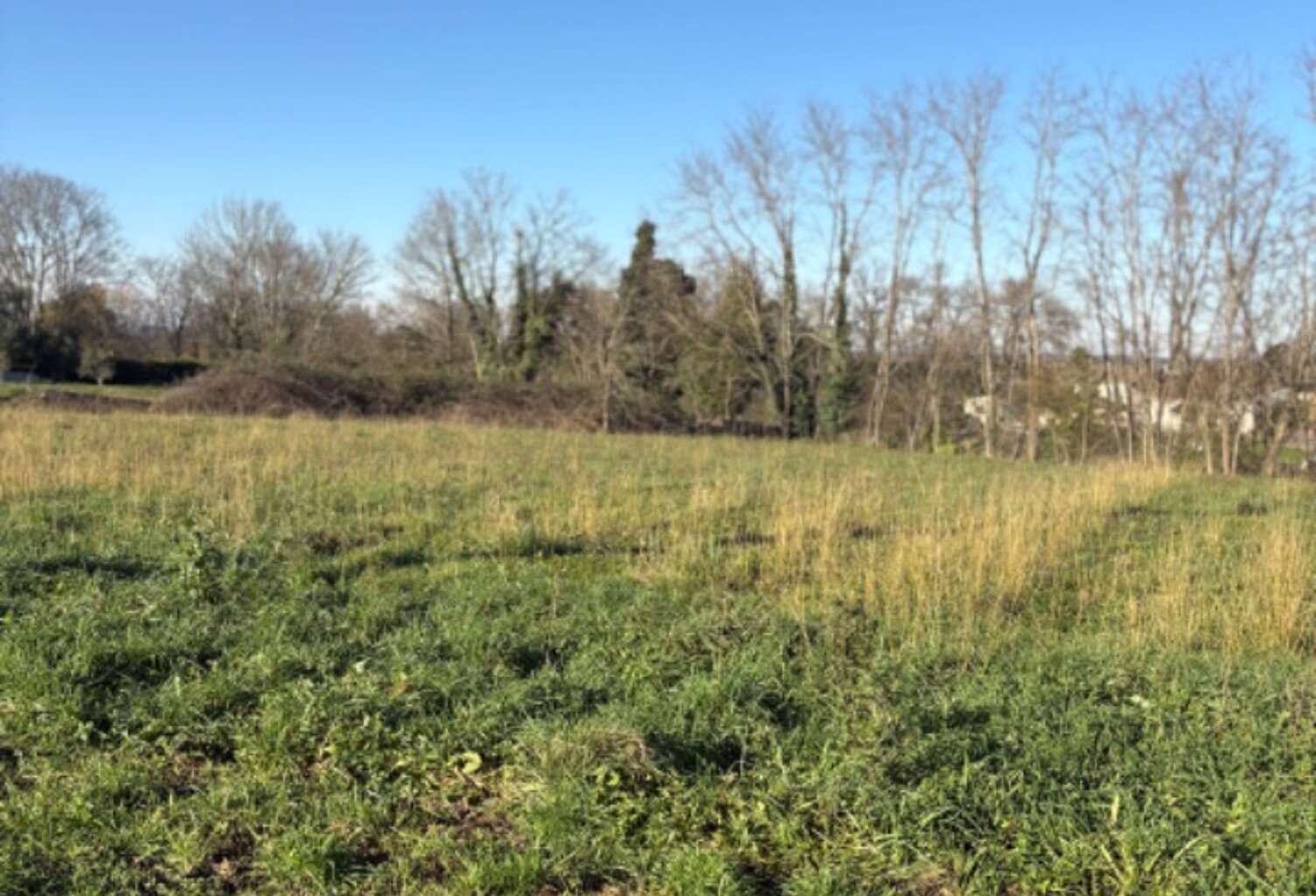 Terrain à bâtir à Branne (33420) — photo 1