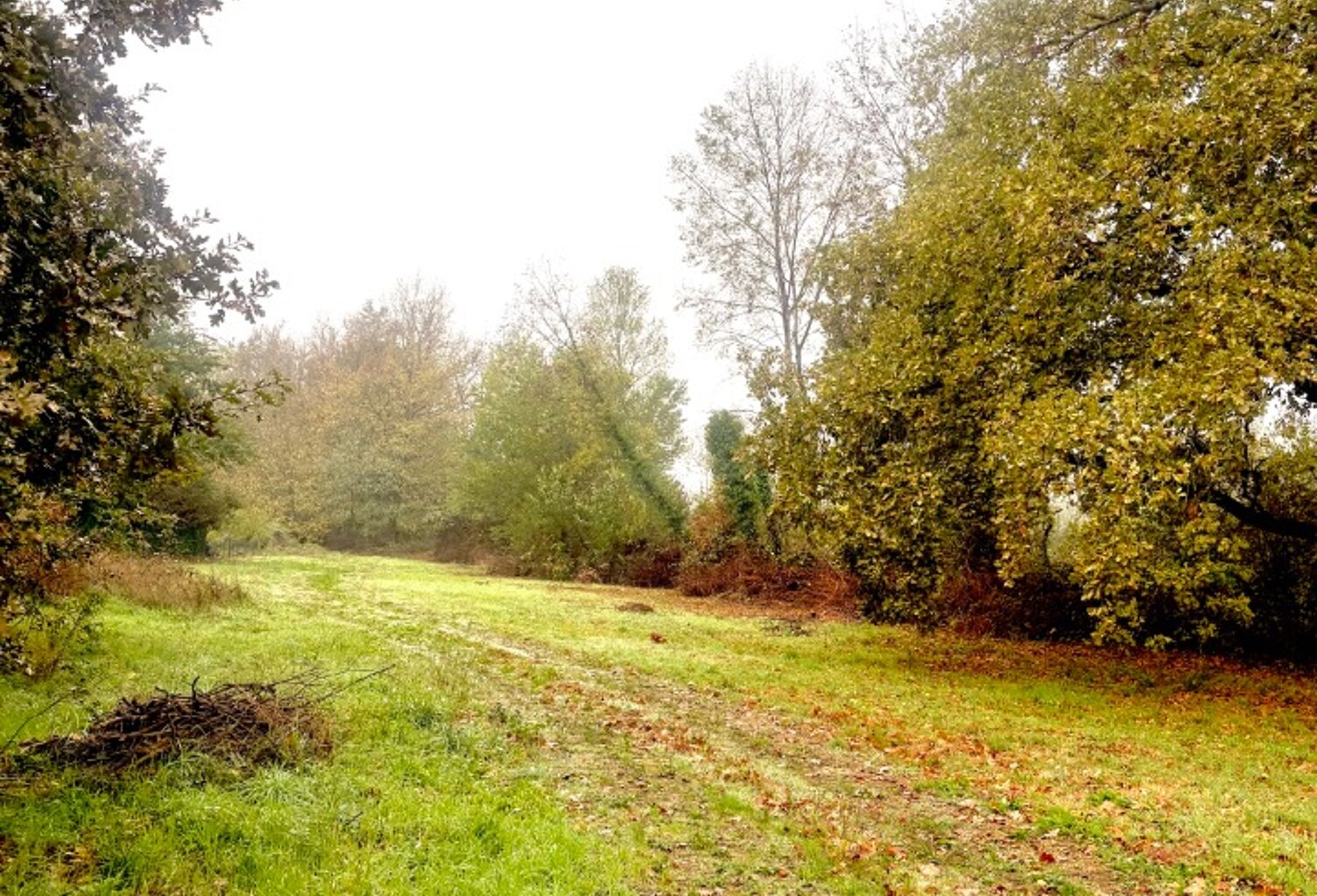 Terrain à bâtir à Sablons (33910) — photo 1