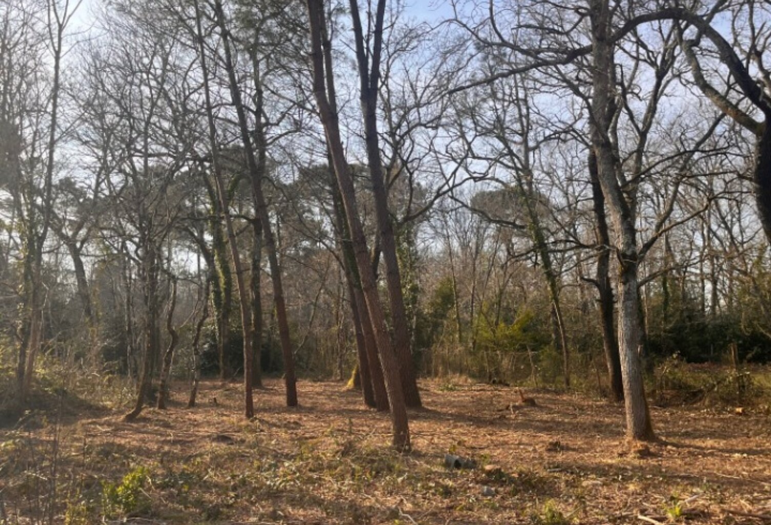 Terrain à bâtir à Landiras (33720) — photo 1