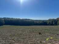 CORREZE — photo 2