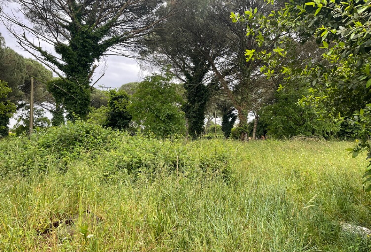 Terrain à bâtir à Saint-Maixant (33490) — photo 1