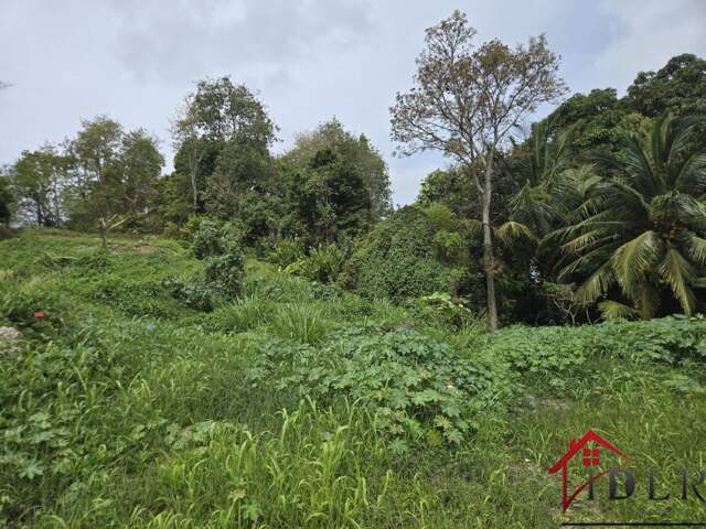 terrain constructible les Abymes 97139 Guadeloupe — photo du bien