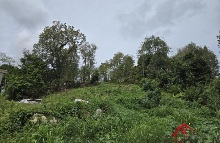 terrain constructible les Abymes 97139 Guadeloupe — photo 2