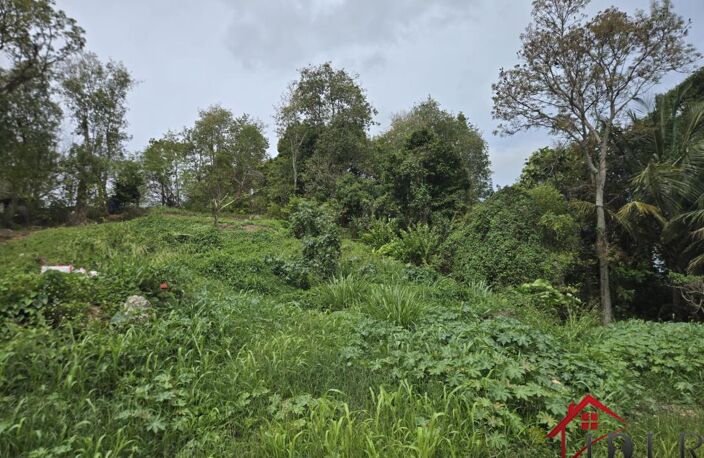 terrain constructible les Abymes 97139 Guadeloupe — photo 3