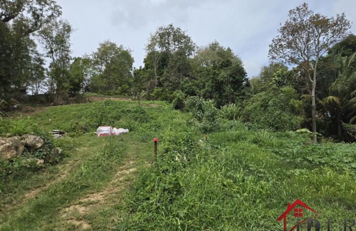 terrain constructible les Abymes 97139 Guadeloupe — photo 4