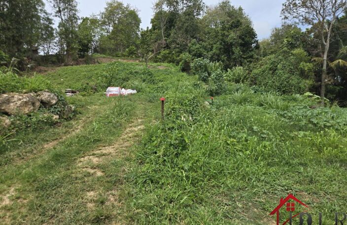 terrain constructible les Abymes 97139 Guadeloupe — photo 5