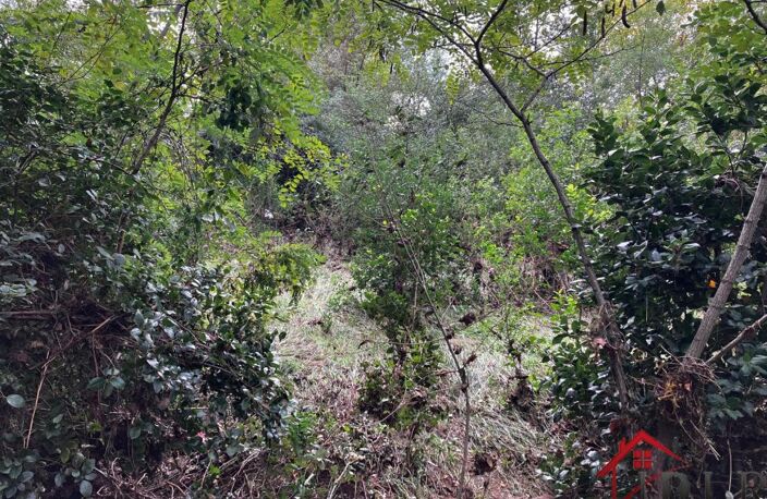Terrain 800m2 — photo 4