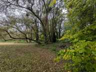MAISON DE CAMPAGNE A RENOVER ! — photo 3