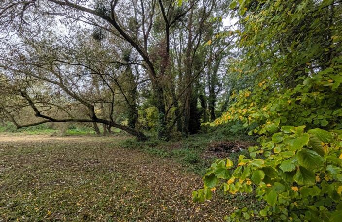 MAISON DE CAMPAGNE A RENOVER ! — photo 3
