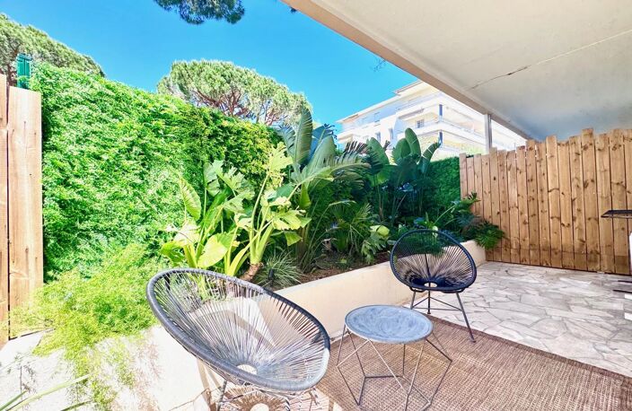 CANNES BASSE CALIFORNIE BEAU 3 PIECES RENOVE — photo 2