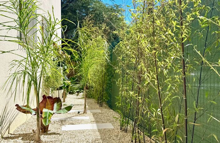 CANNES BASSE CALIFORNIE BEAU 3 PIECES RENOVE — photo 3