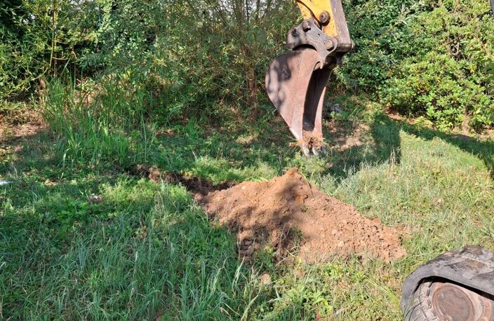 🌿 SAINT-NAZAIRE-EN-ROYANS – Terrain arboré de 606 m² avec projet tiny house — photo 3