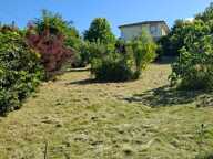 🌿 SAINT-NAZAIRE-EN-ROYANS – Terrain arboré de 606 m² avec projet tiny house — photo 4