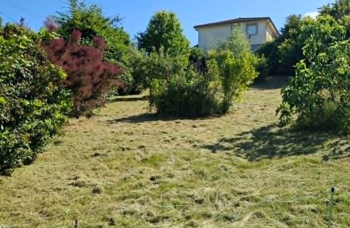 🌿 SAINT-NAZAIRE-EN-ROYANS – Terrain arboré de 606 m² avec projet tiny house — photo 4