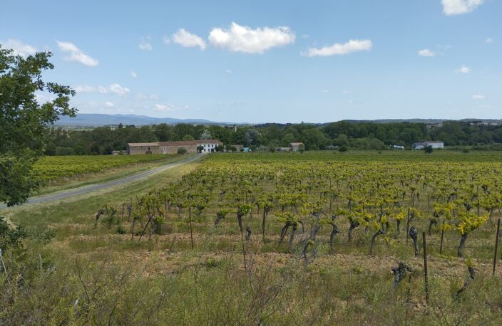 Propriete à vendre 9 pièces VILLALIER (11) — photo 5
