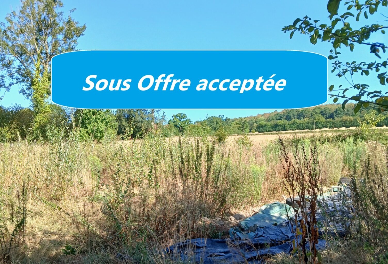Terrain à vendre  SAINT CHARLES DE PERCY (14) — photo 1