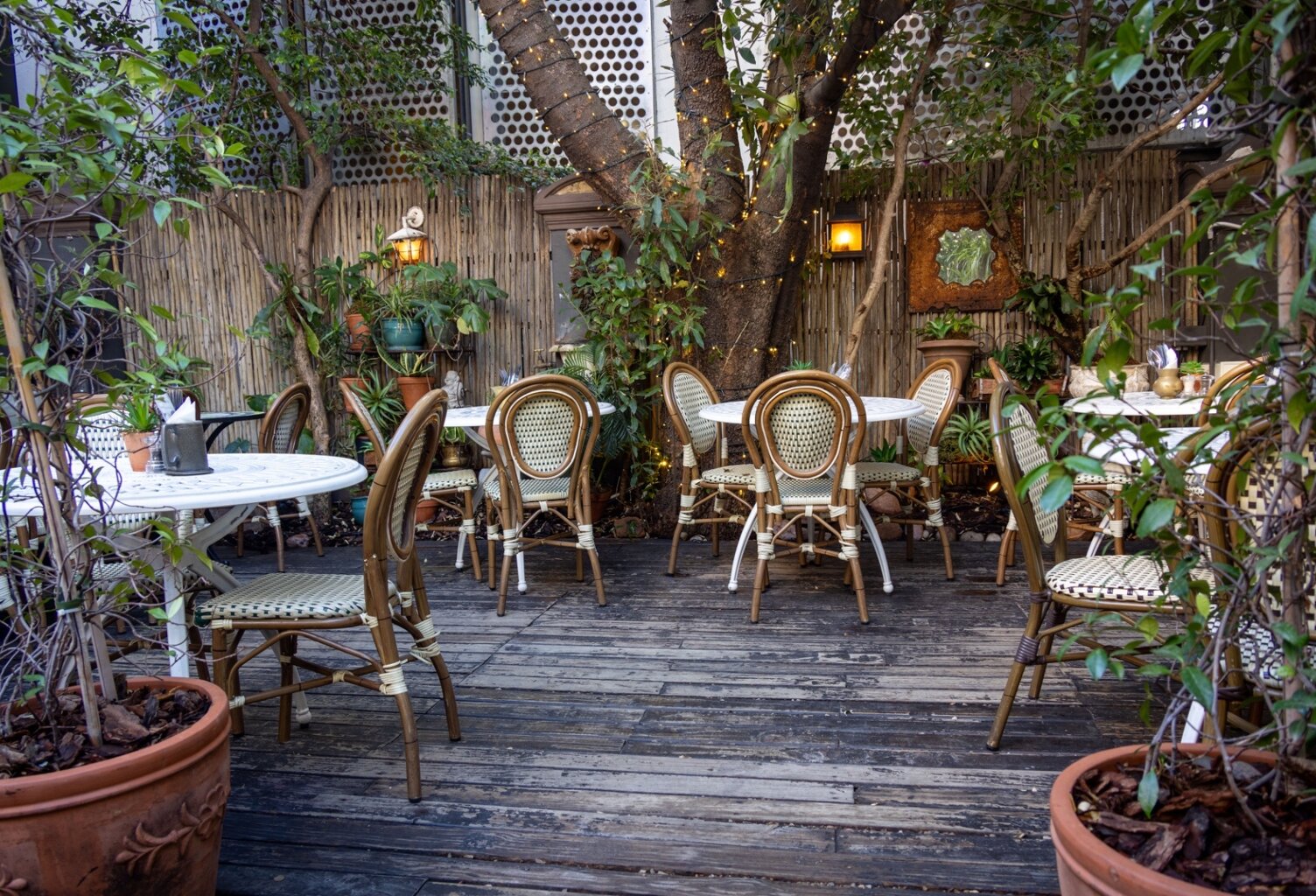 BAR-RESTAURANT 1,5 M€ de CA : Unique et Exceptionnel à LYON — photo 1