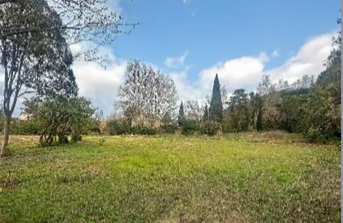 Vente maison à construire 100 m² Saint-Maximin-la-Sainte-Baume (83470) — photo 2