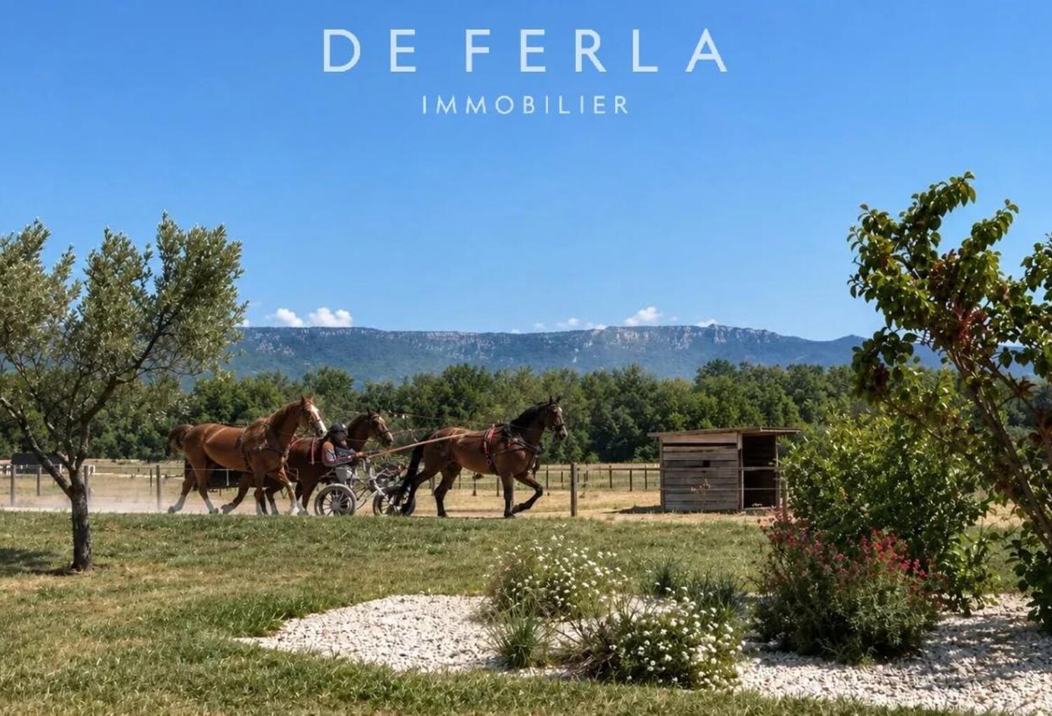 DOMAINE ÉQUESTRE D’EXCEPTION – ENTRE AIX-EN-PROVENCE ET SALON-DE-PROVENCE — photo 1