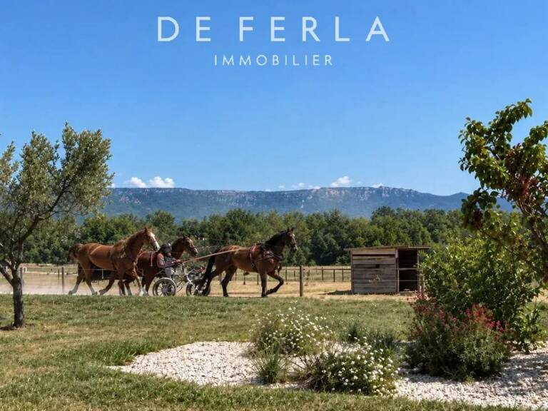 DOMAINE ÉQUESTRE D’EXCEPTION – ENTRE AIX-EN-PROVENCE ET SALON-DE-PROVENCE — photo 1