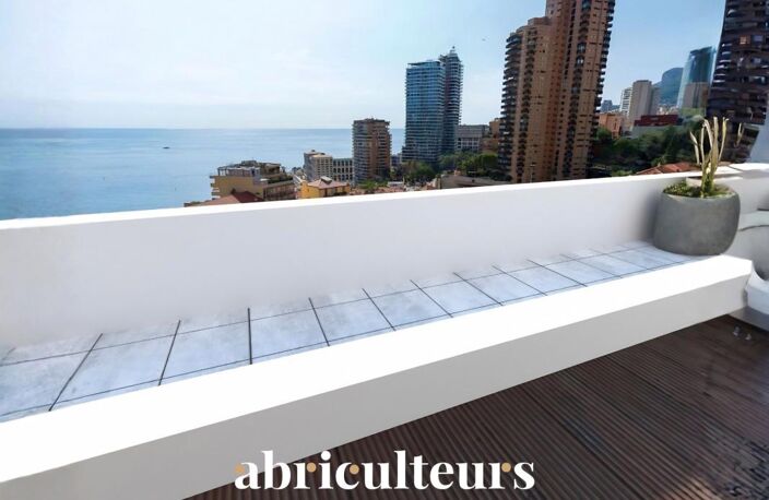Appartement avec beaux volumes à vendre avec balcon privatif – Roquebrune-Cap-Martin (06190) — photo 3