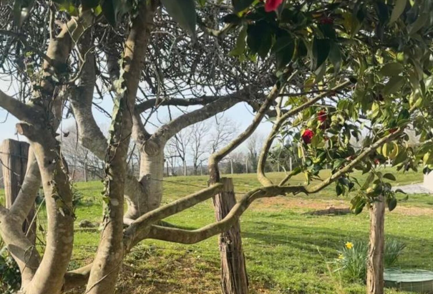 T4 jardin avec travaux et vue dégagée sur le pays basque — photo 1