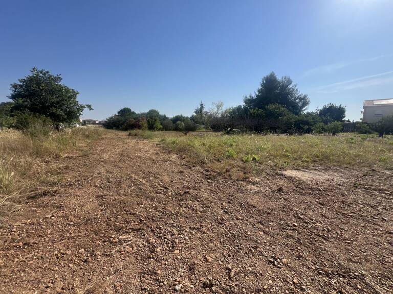 Terrain  4 LOTS — photo 1