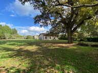 Maison landaise de 1910 - 4 chambres - Parc de 5 986 m² - — photo 4