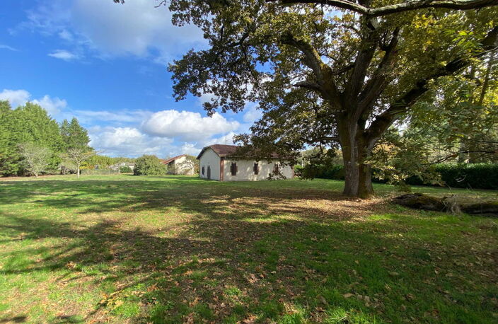 Maison landaise de 1910 - 4 chambres - Parc de 5 986 m² - — photo 4