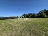 terrain — photo 4