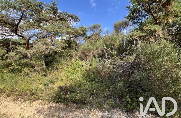 Vente Terrain à bâtir 6 847 m&sup2; — photo 4
