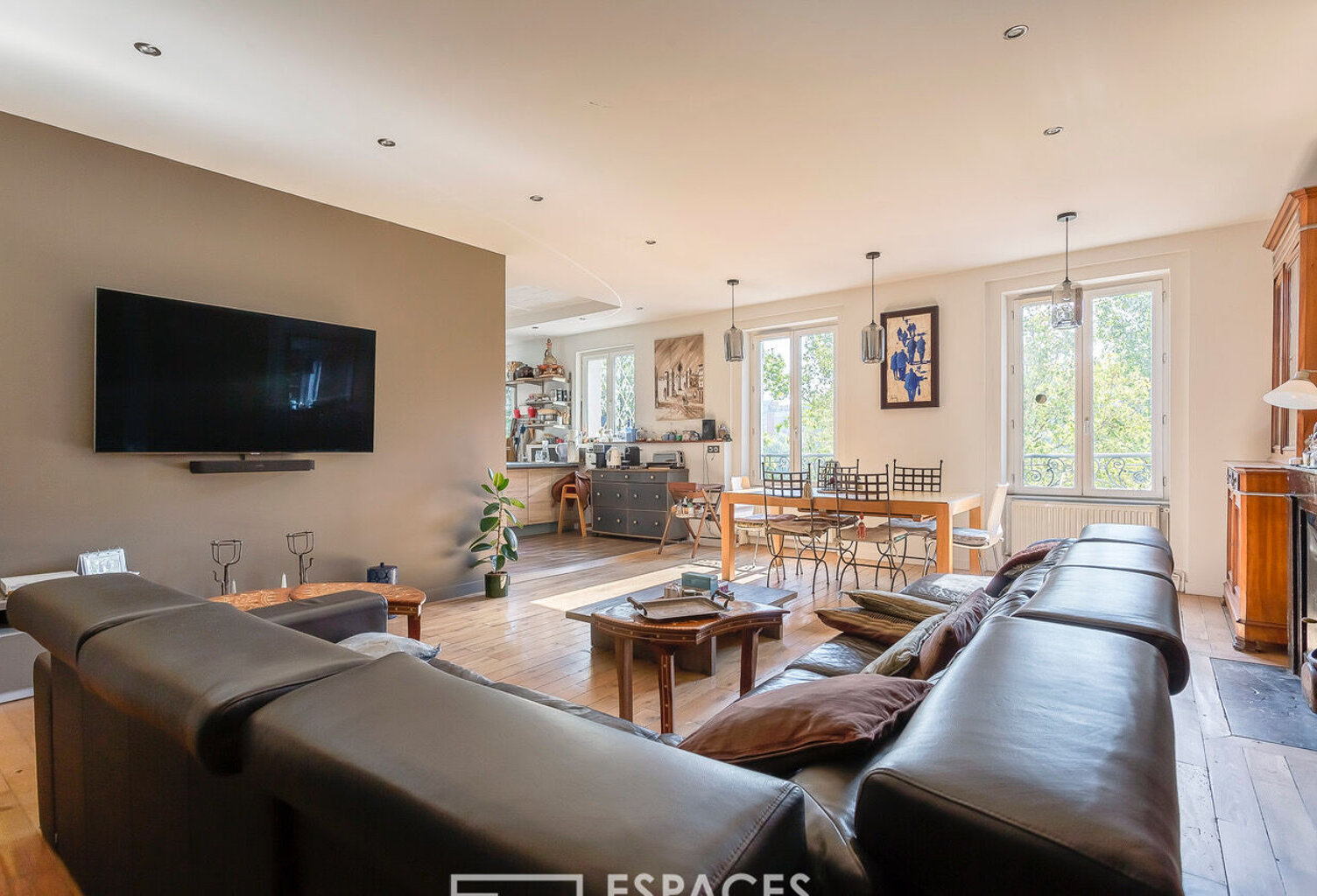 Appartement en duplex avec vue sur le Rhône — photo 1