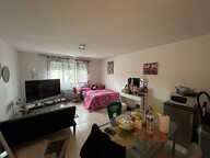 AUXERRE appartement F1 refait à neuf — photo 2