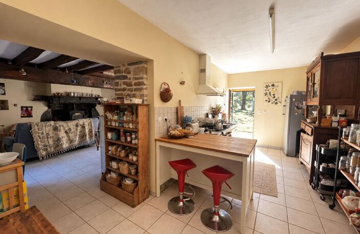 Maison en pierre, grand jardin et dépendances — photo 4