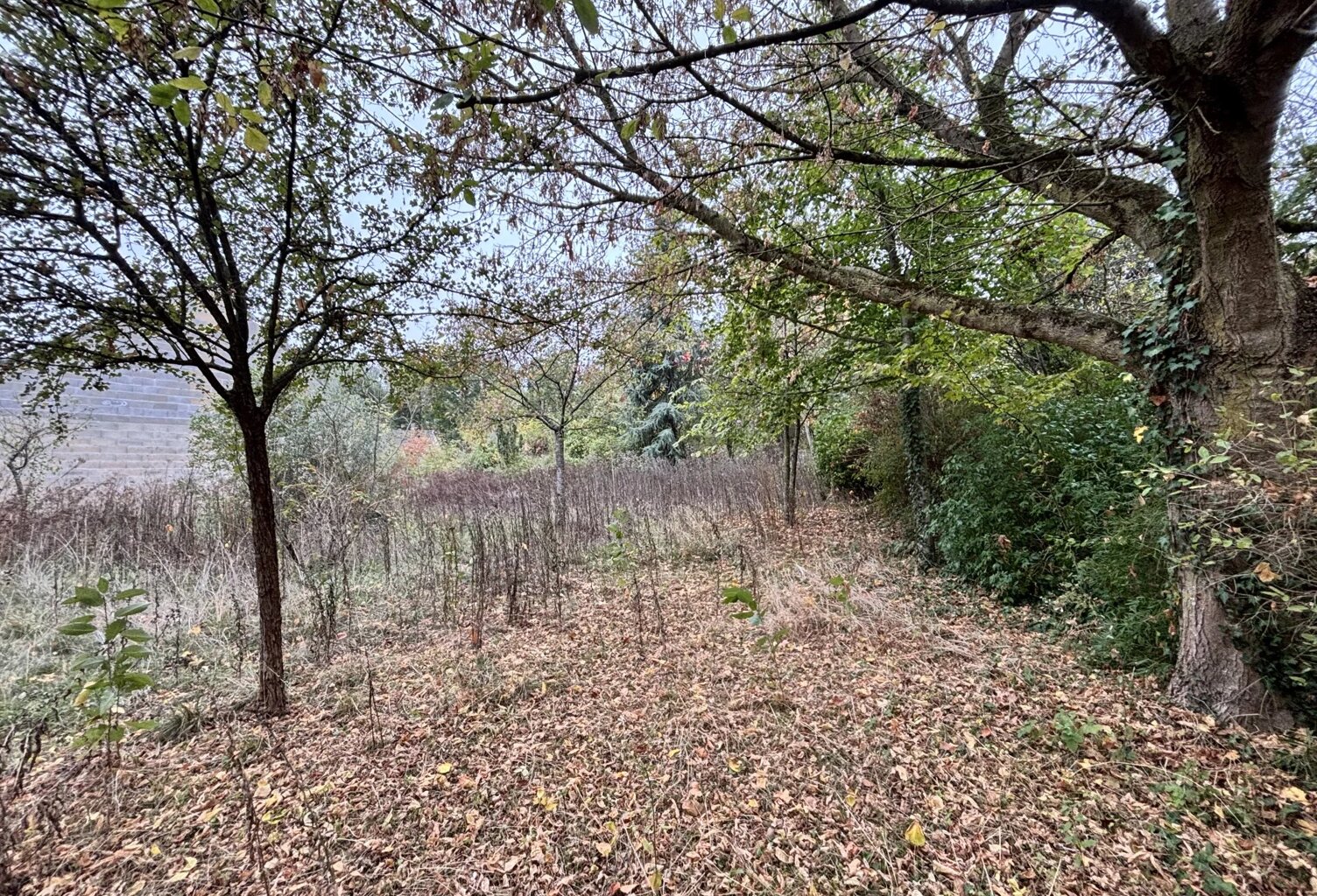 Terrain à bâtir à Presles-et-Thierny — photo 1