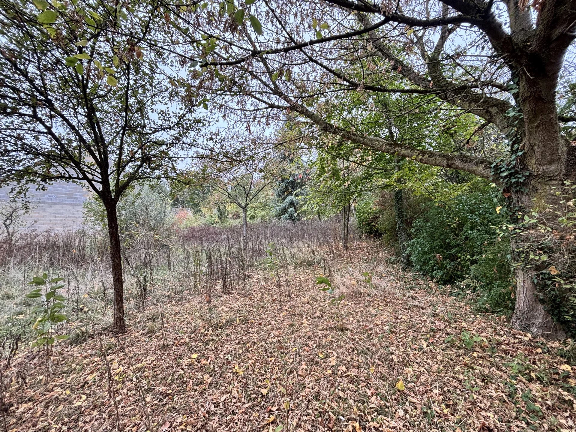 Terrain 2035 m² · à Presles-et-Thierny · 55 000 €