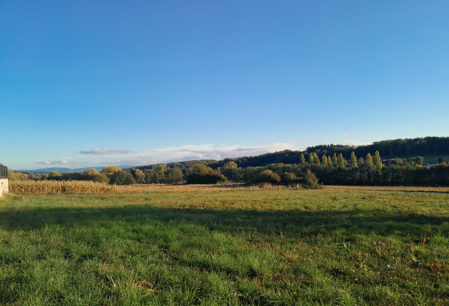 Réf: 11193*** Sundgau - Hirsingue: Magnifique terrain env. 22 ares — photo 1