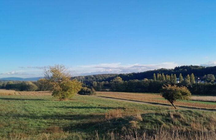 Réf: 11193*** Sundgau - Hirsingue: Magnifique terrain env. 22 ares — photo 3